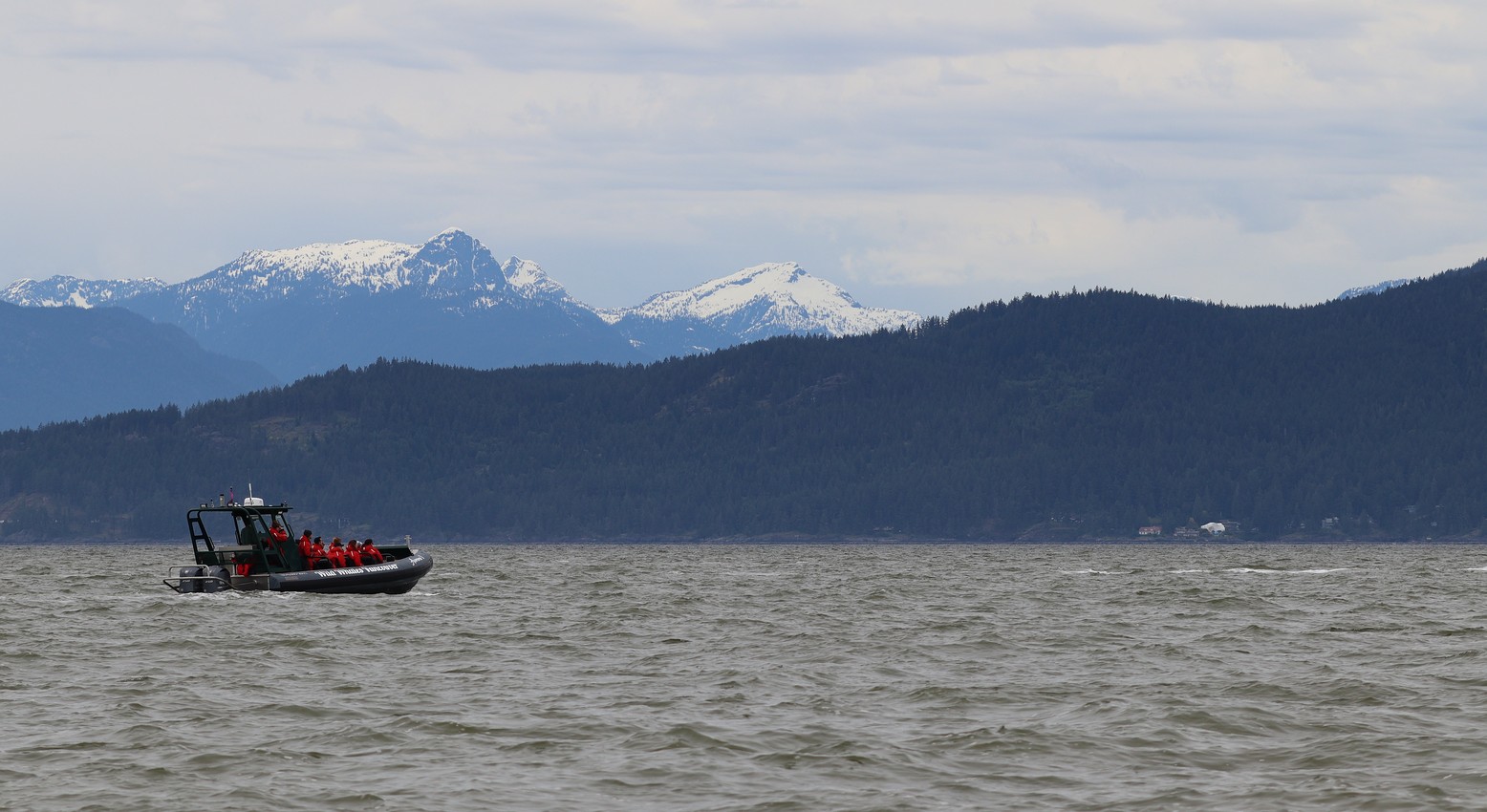 A whale watching boat looks where a humpback had just surfaced