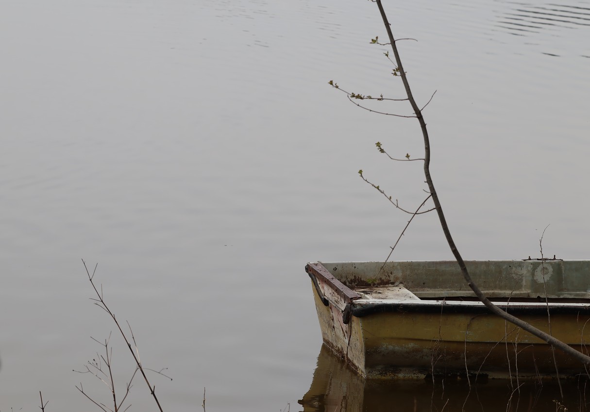 A lonesome rowboat on a still lake