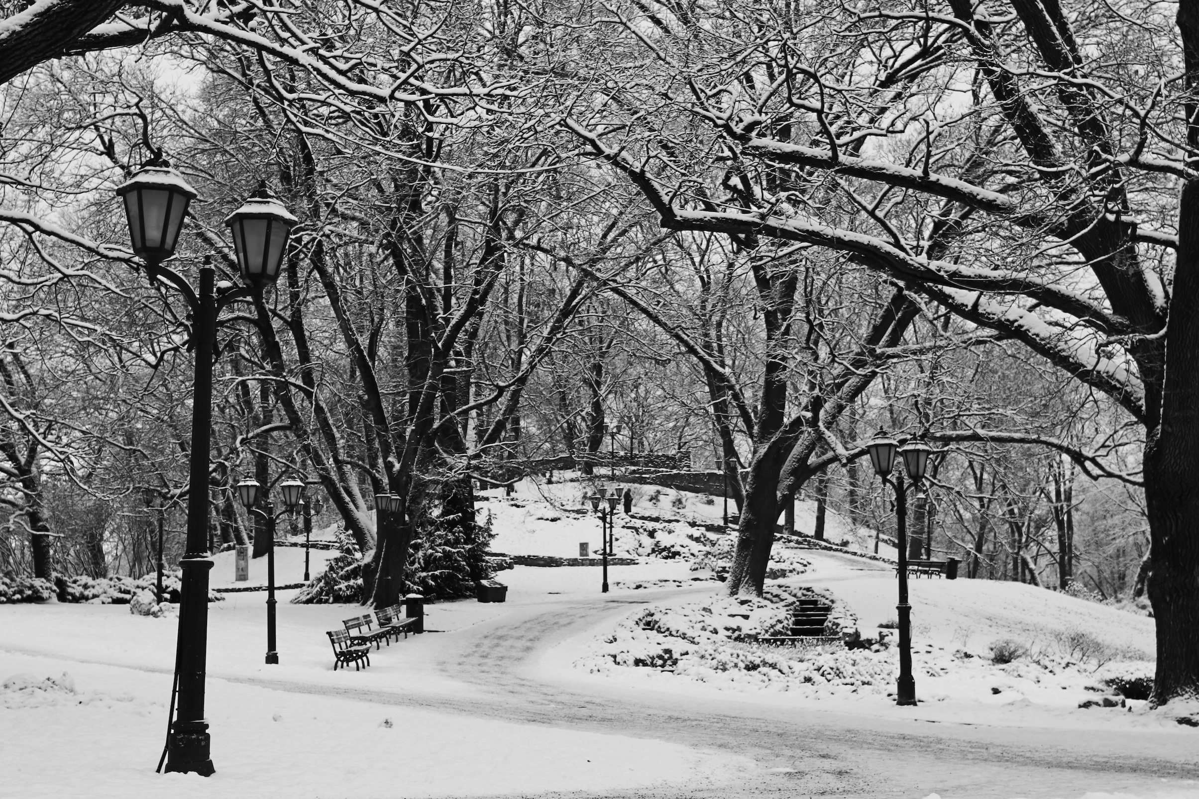 A winding trail leads up a small hill in a snow-covered park