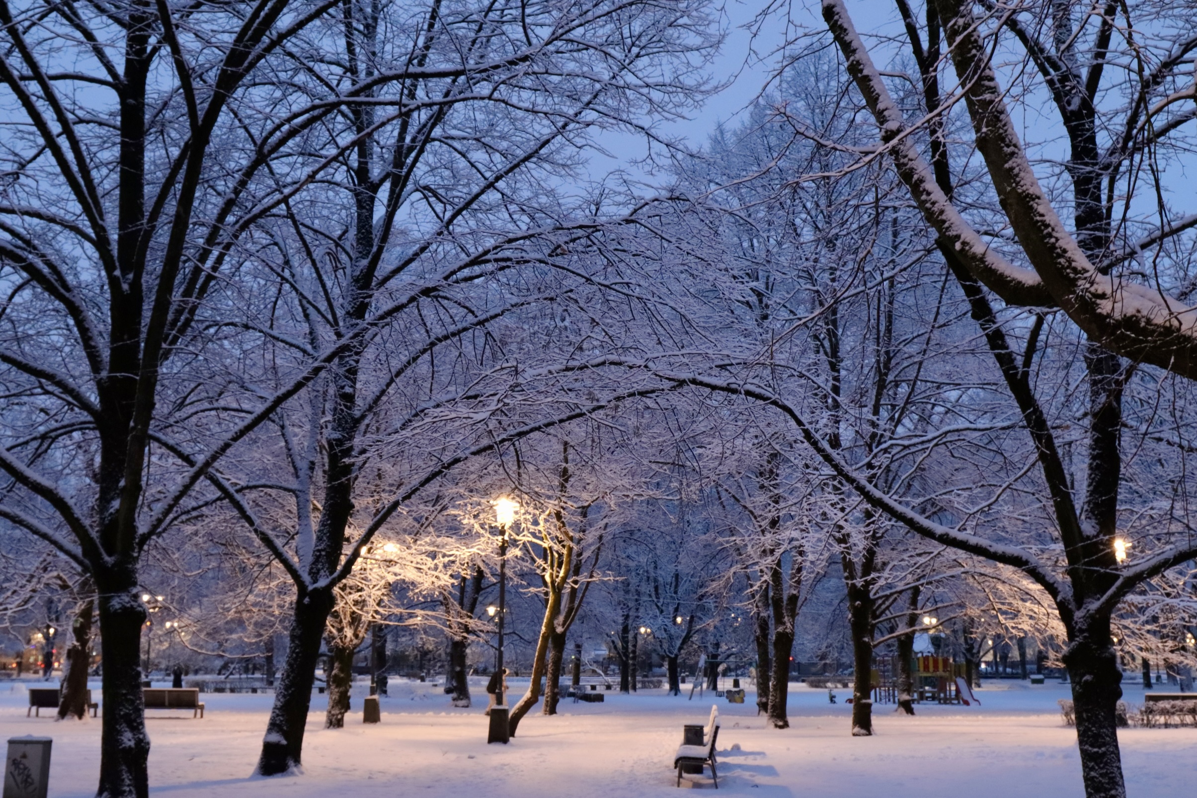Streetlights illuminate a quiet, snow-covered park