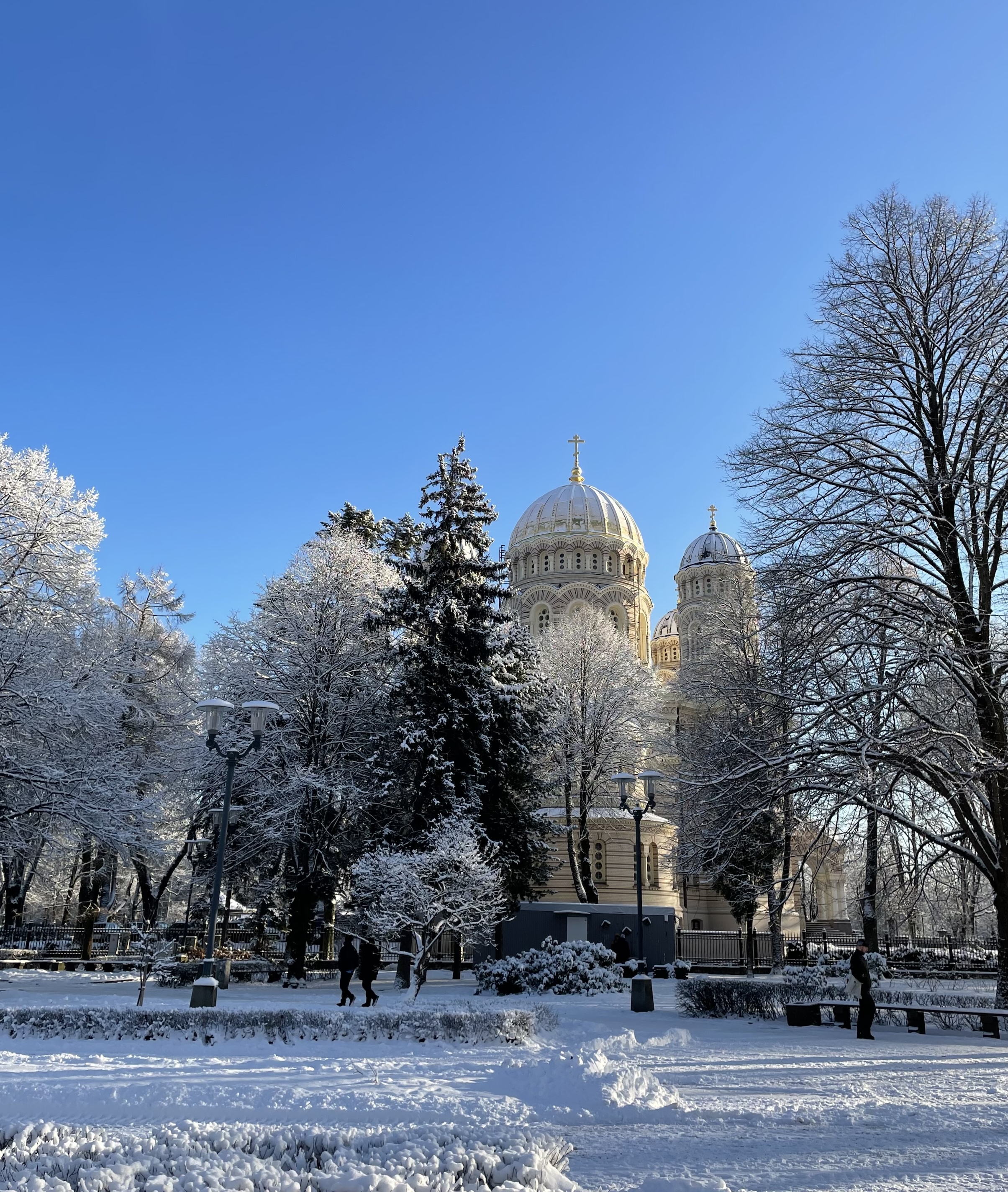 Golden domes of Riga Nativity of Christ Orthodox Cathedral covered in snow